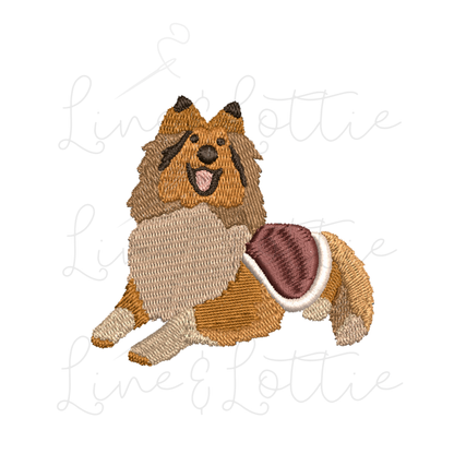 Classic Collie